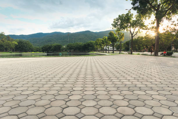 Best Driveway Pavers Near Me  in Rio Rico, AZ