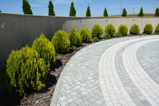 Best Concrete Paver Driveway  in Rio Rico, AZ