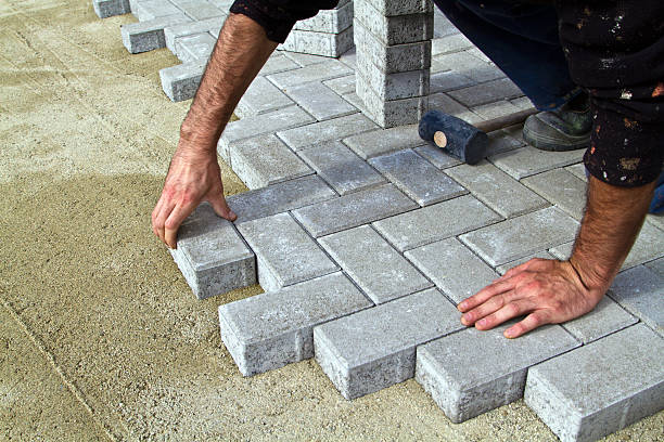 Best Concrete Paver Driveway  in Rio Rico, AZ